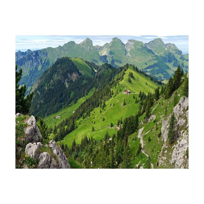 Tablou Canvas Natura, Dimensiunea 100x70 nat8