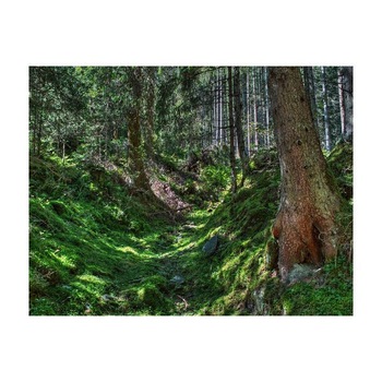 Tablou Canvas Natura, Dimensiunea 100x70 nat233 Tablou Canvas Natura, Dimensiunea 100x70 nat233