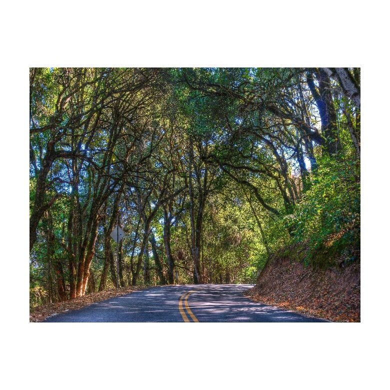 Tablou Canvas Natura, Dimensiunea 100x70 nat215