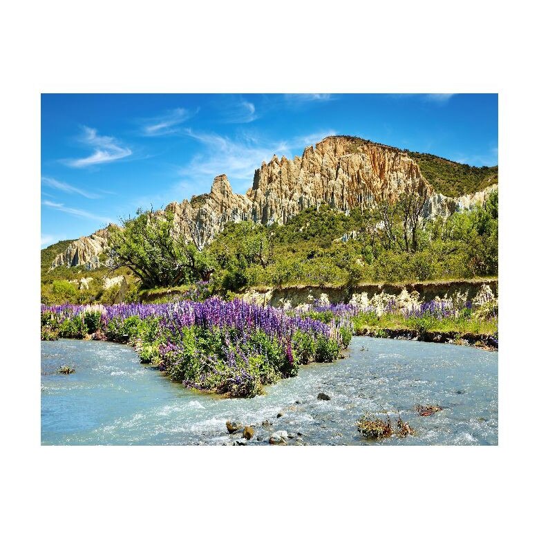 Tablou Canvas Natura, Dimensiunea 100x70 nat288