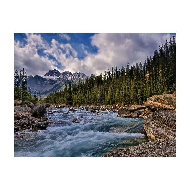 Tablou Canvas Natura, Dimensiunea 100x70 nat230