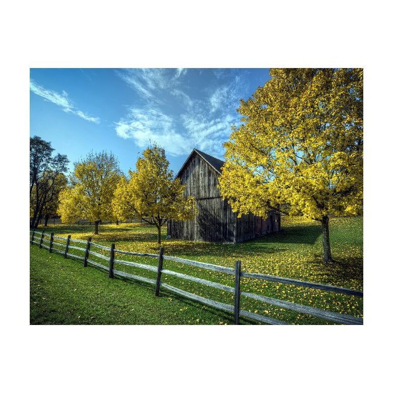 Tablou Canvas Natura, Dimensiunea 100x70 nat246