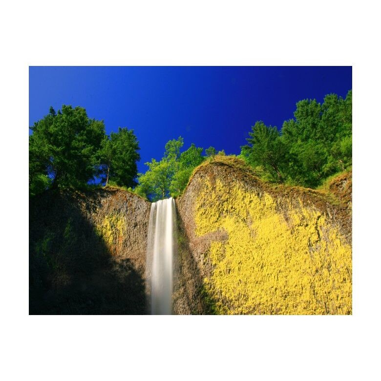 Tablou Canvas Natura, Dimensiunea 100x70 nat152