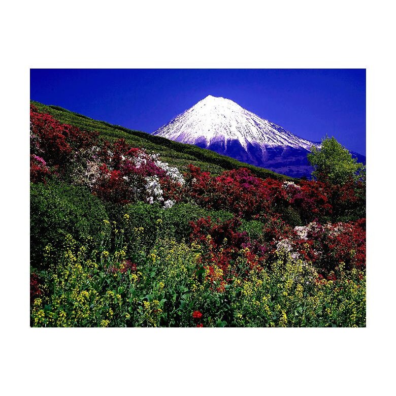 Tablou Canvas Natura, Dimensiunea 100x70 nat193