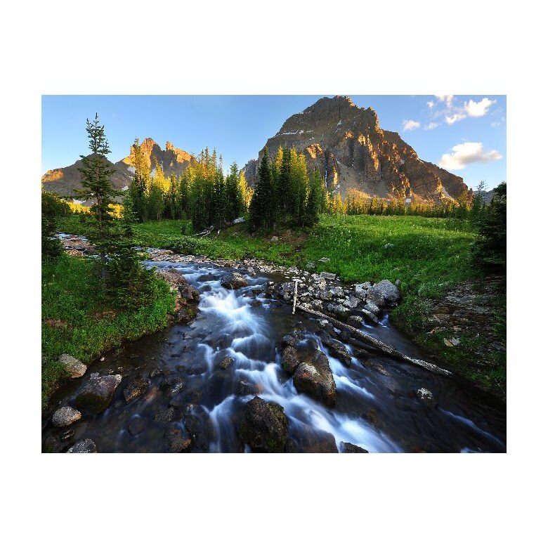 Tablou Canvas Natura, Dimensiunea 100x70 nat247