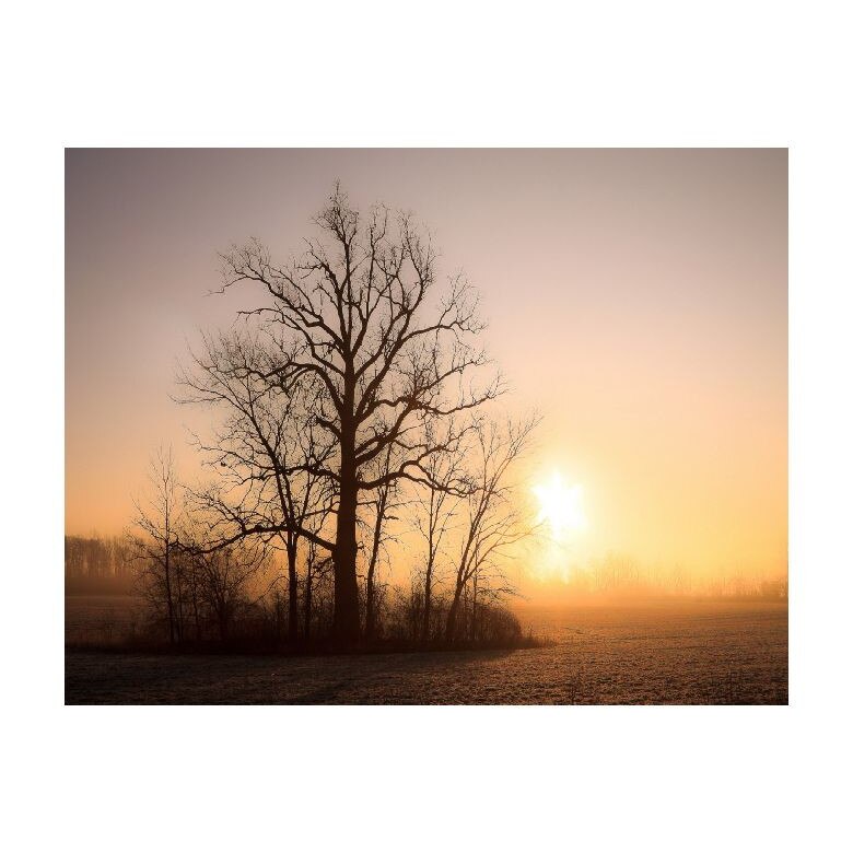 Tablou Canvas Natura, Dimensiunea 100x70 nat153