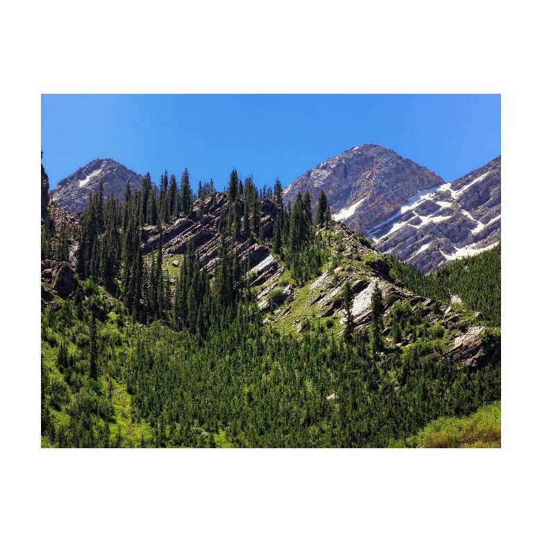 Tablou Canvas Natura, Dimensiunea 100x70 nat285