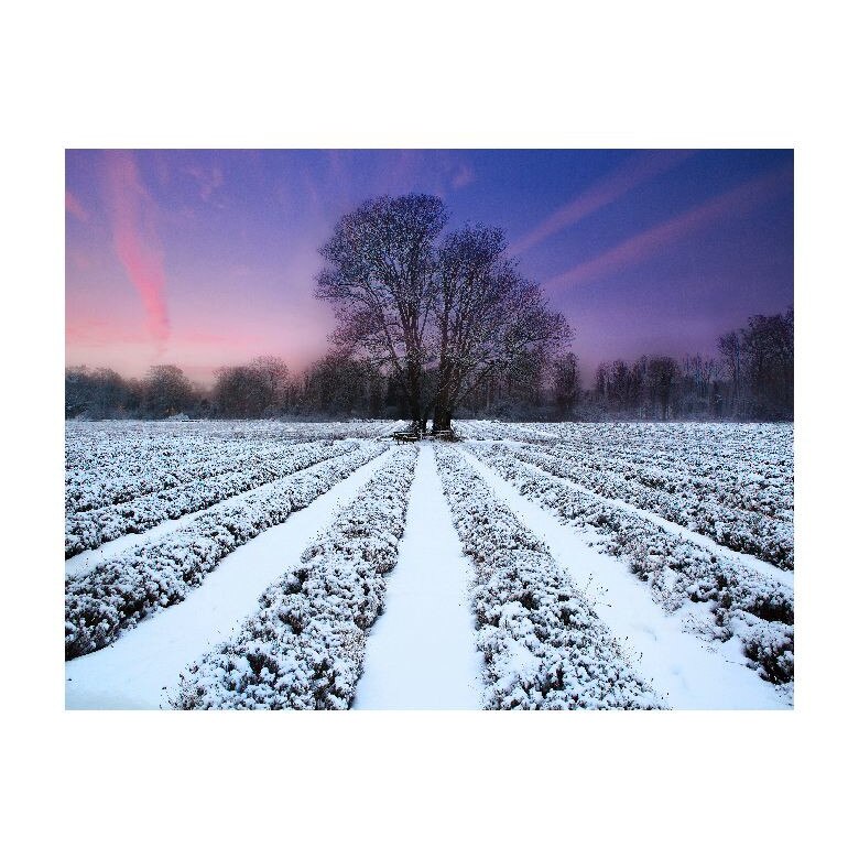 Tablou Canvas Natura, Dimensiunea 100x70 nat214