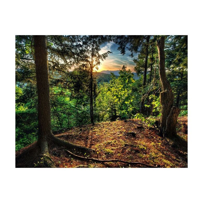 Tablou Canvas Natura, Dimensiunea 100x70 nat243