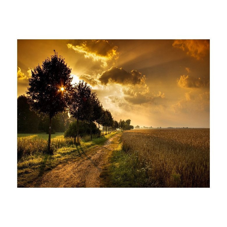 Tablou Canvas Natura, Dimensiunea 100x70 nat218