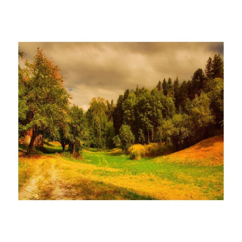 Tablou Canvas Natura, Dimensiunea 100x70 nat236