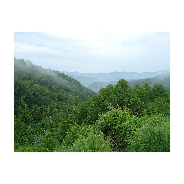 Tablou Canvas Natura, Dimensiunea 100x70 nat2040