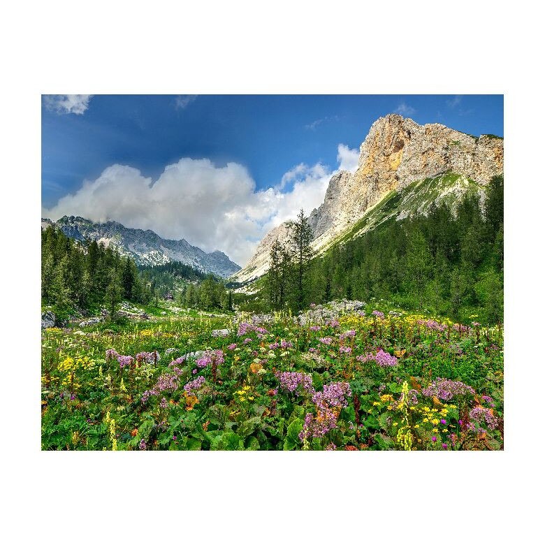 Tablou Canvas Natura, Dimensiunea 100x70 nat192