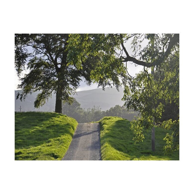 Tablou Canvas Natura, Dimensiunea 100x70 nat239