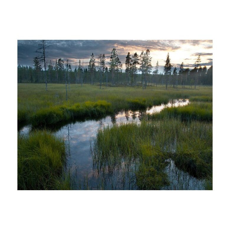 Tablou Canvas Natura, Dimensiunea 100x70 nat163