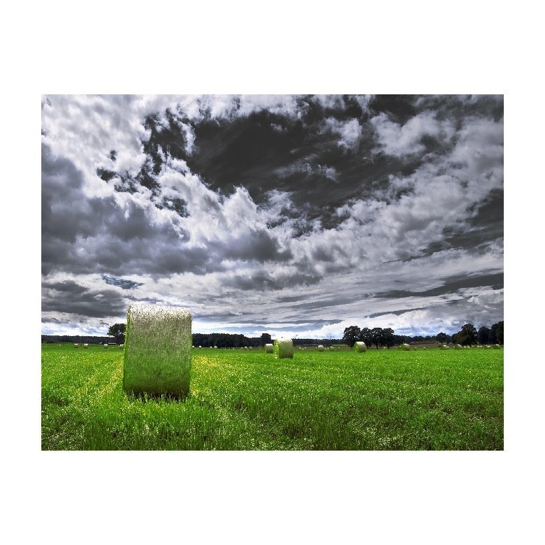 Tablou Canvas Natura, Dimensiunea 100x70 nat240