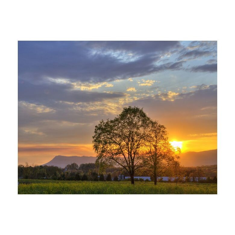 Tablou Canvas Natura, Dimensiunea 100x70 nat161