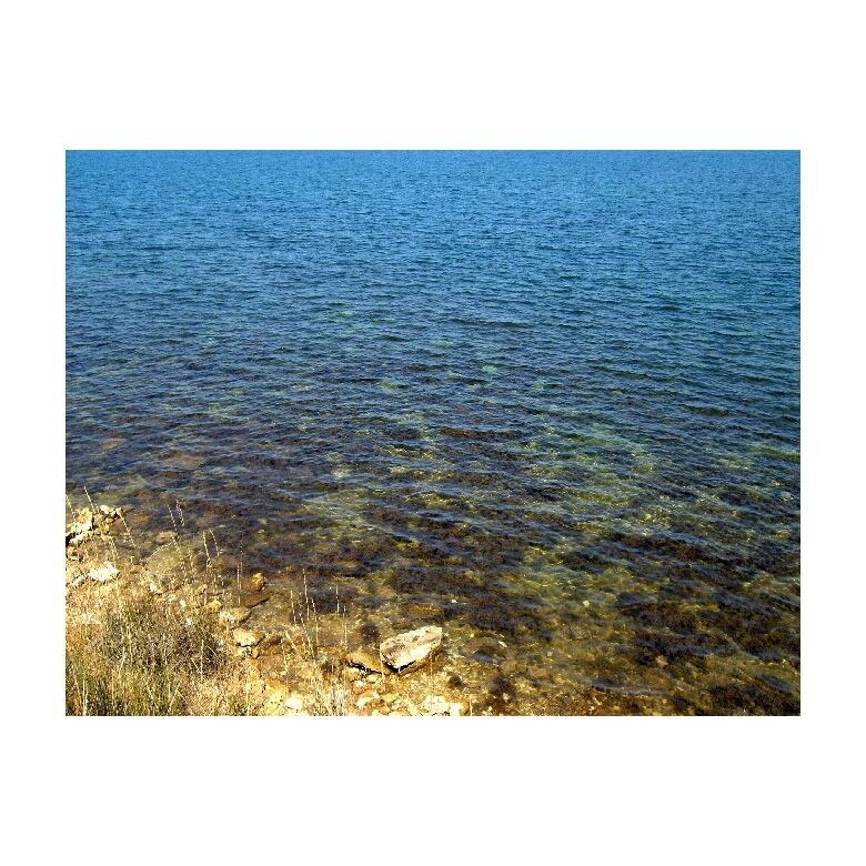 Tablou Canvas Natura, Dimensiunea 100x70 nat229