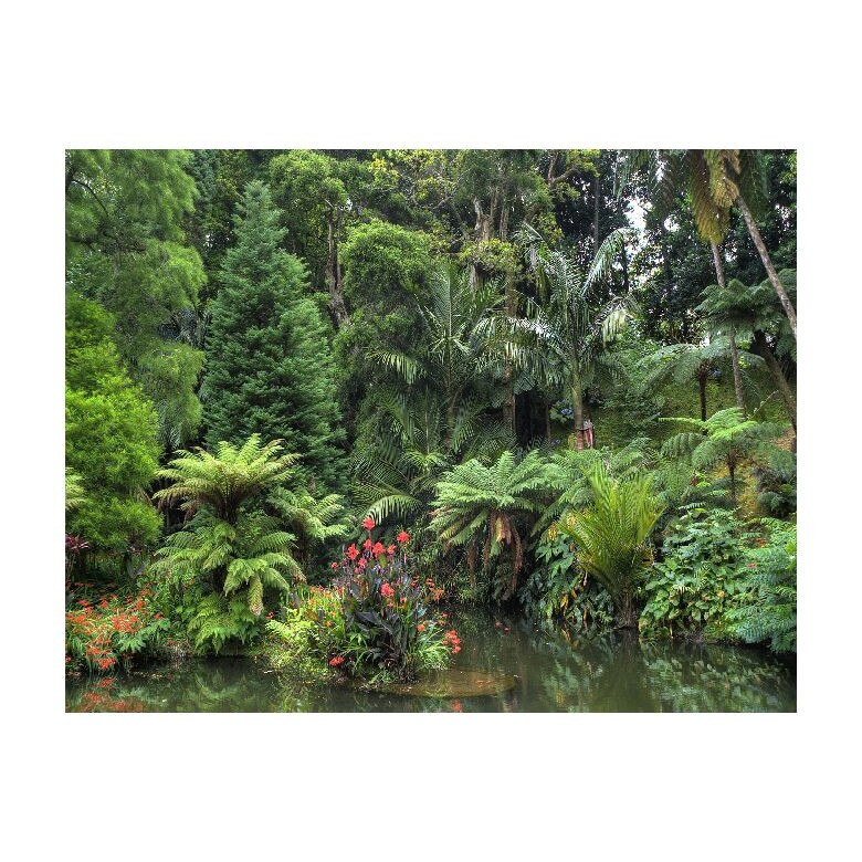 Tablou Canvas Natura, Dimensiunea 100x70 nat170