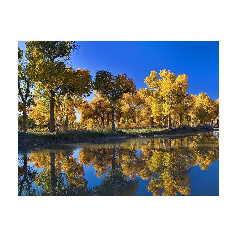Tablou Canvas Natura, Dimensiunea 100x70 nat257