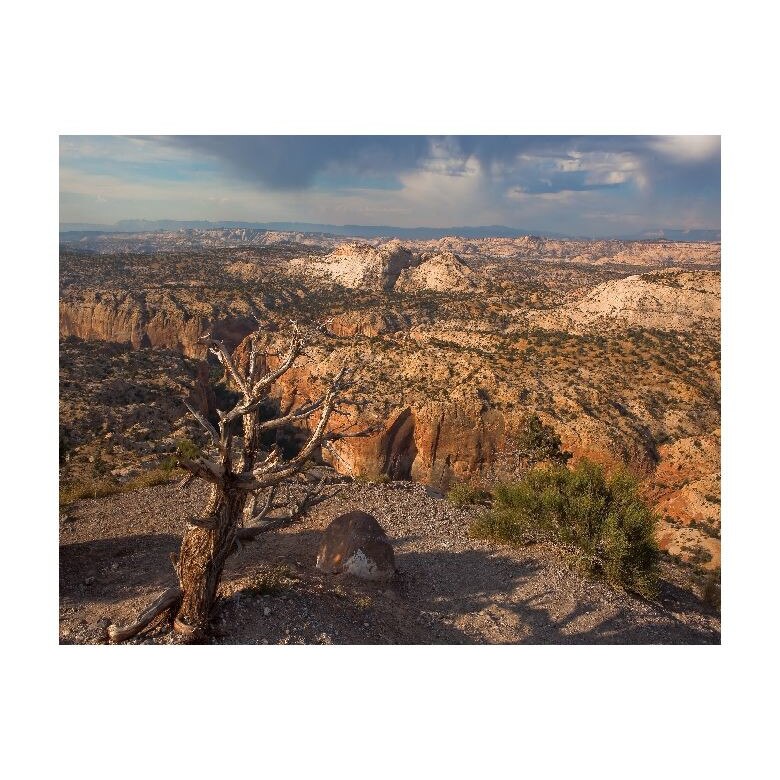 Tablou Canvas Natura, Dimensiunea 100x70 nat286