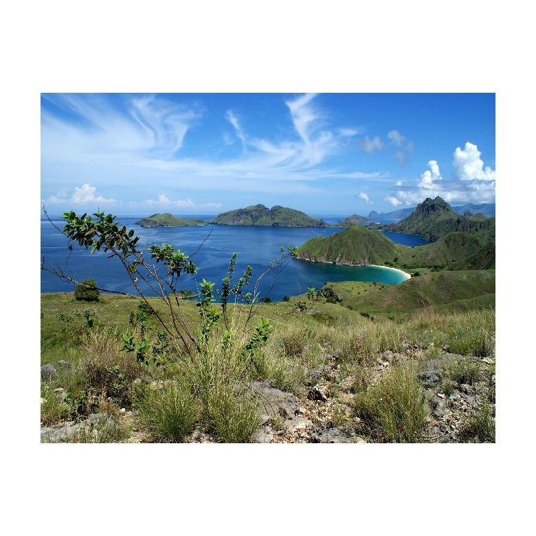 Tablou Canvas Natura, Dimensiunea 100x70 nat253