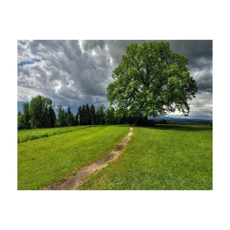 Tablou Canvas Natura, Dimensiunea 100x70 nat211