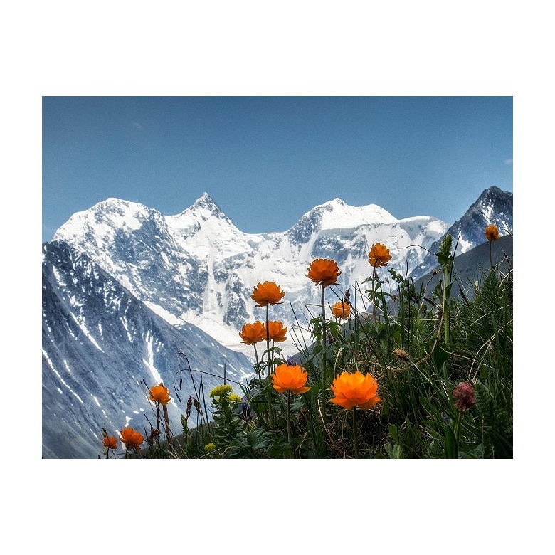 Tablou Canvas Natura, Dimensiunea 100x70 nat203