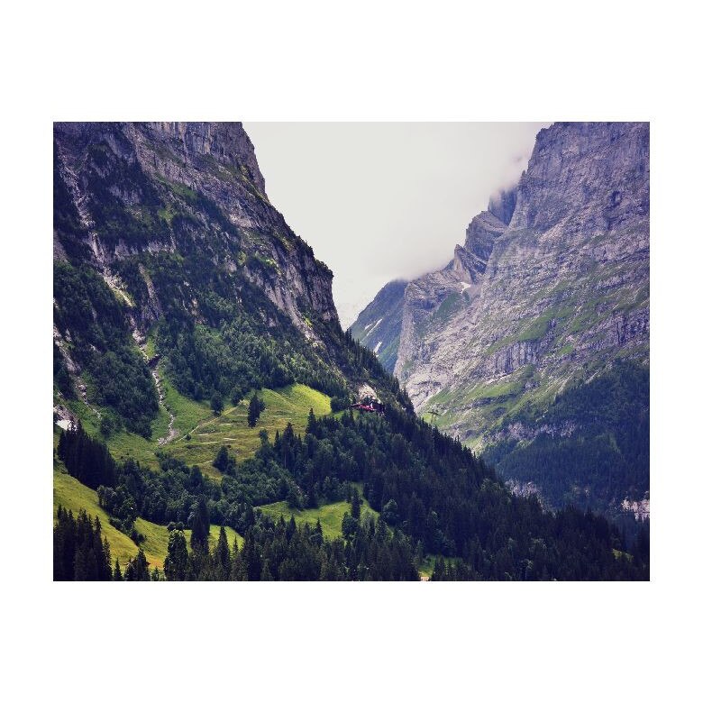 Tablou Canvas Natura, Dimensiunea 100x70 nat234