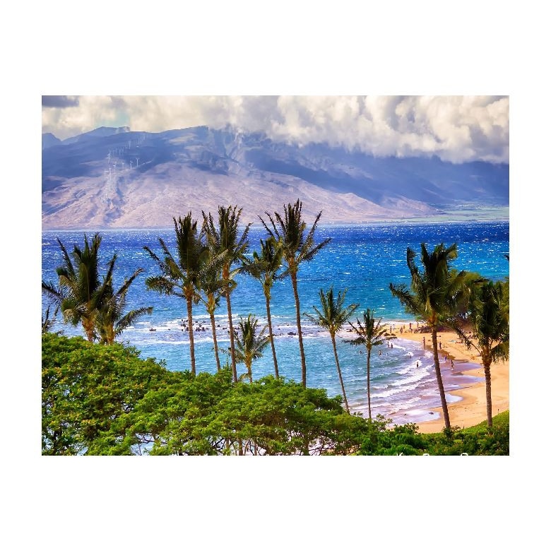 Tablou Canvas Natura, Dimensiunea 100x70 nat227