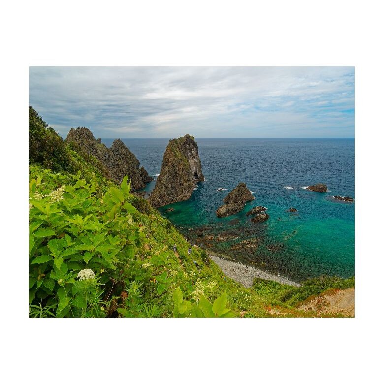 Tablou Canvas Natura, Dimensiunea 100x70 nat260