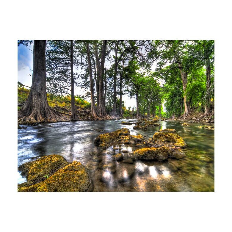 Tablou Canvas Natura, Dimensiunea 100x70 nat231