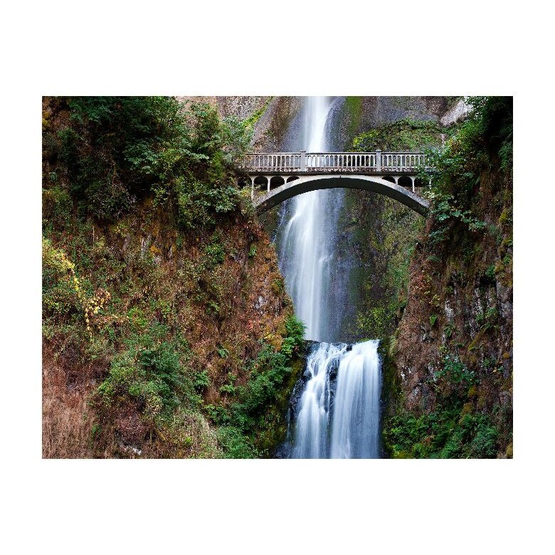 Tablou Canvas Natura, Dimensiunea 100x70 nat276