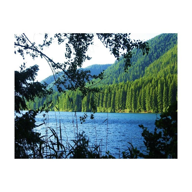 Tablou Canvas Natura, Dimensiunea 100x70 nat205