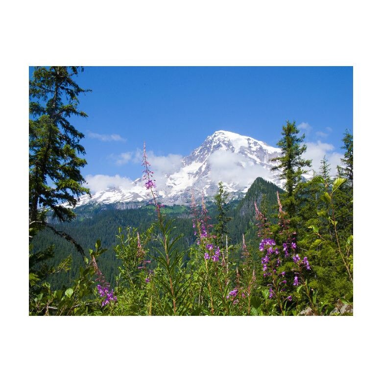 Tablou Canvas Natura, Dimensiunea 100x70 nat164