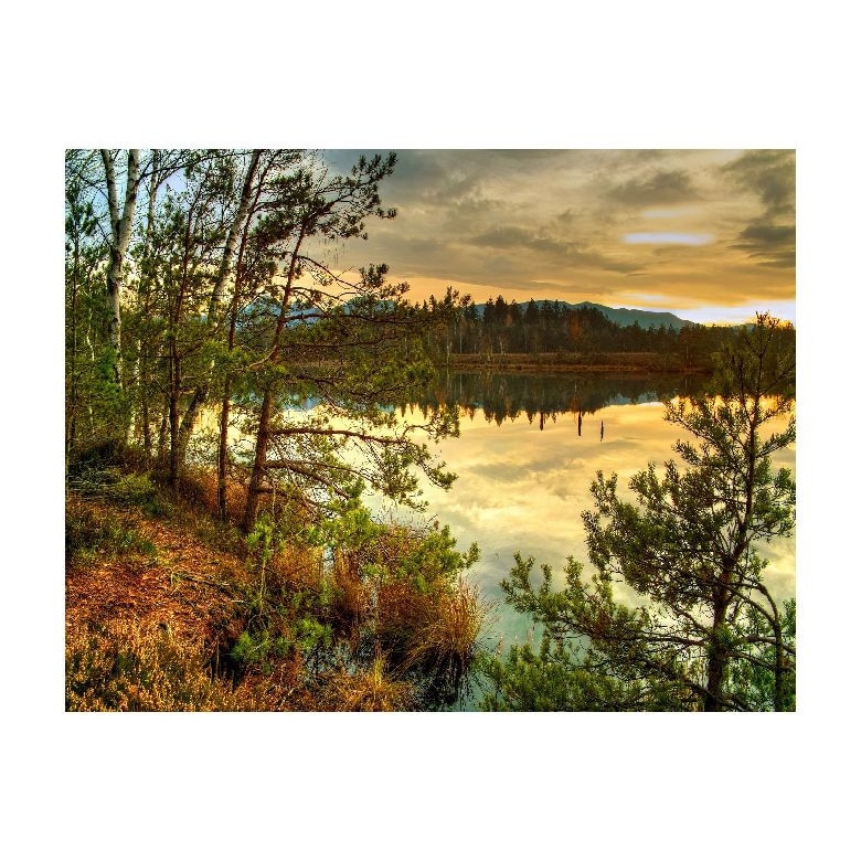 Tablou Canvas Natura, Dimensiunea 100x70 nat252