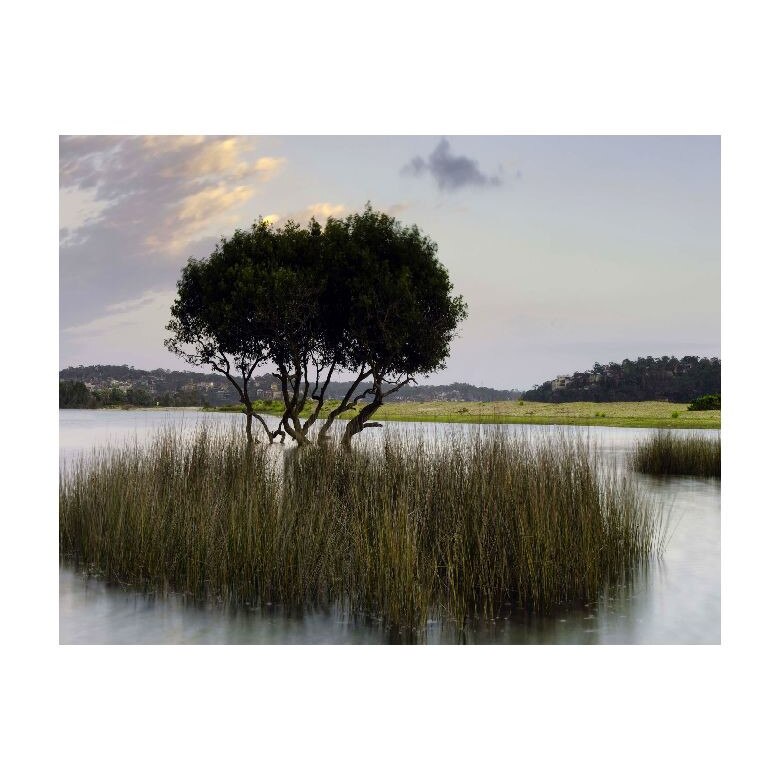 Tablou Canvas Natura, Dimensiunea 50x30 nat434