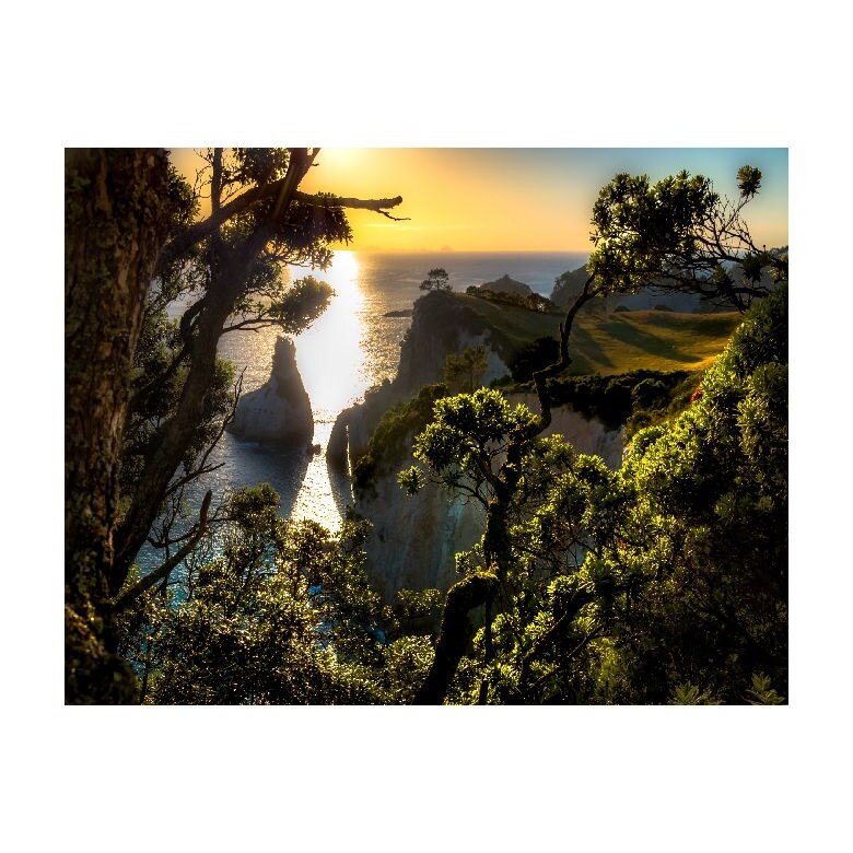 Tablou Canvas Natura, Dimensiunea 100x70 nat353