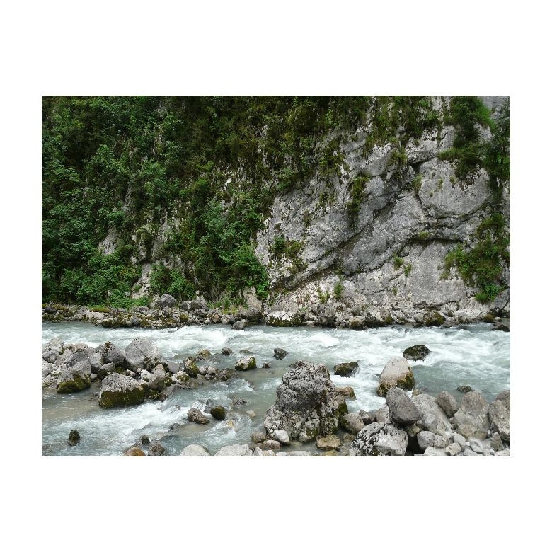 Tablou Canvas Natura, Dimensiunea 100x70 nat2050