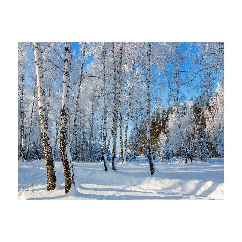 Tablou Canvas Natura, Dimensiunea 100x70 nat414