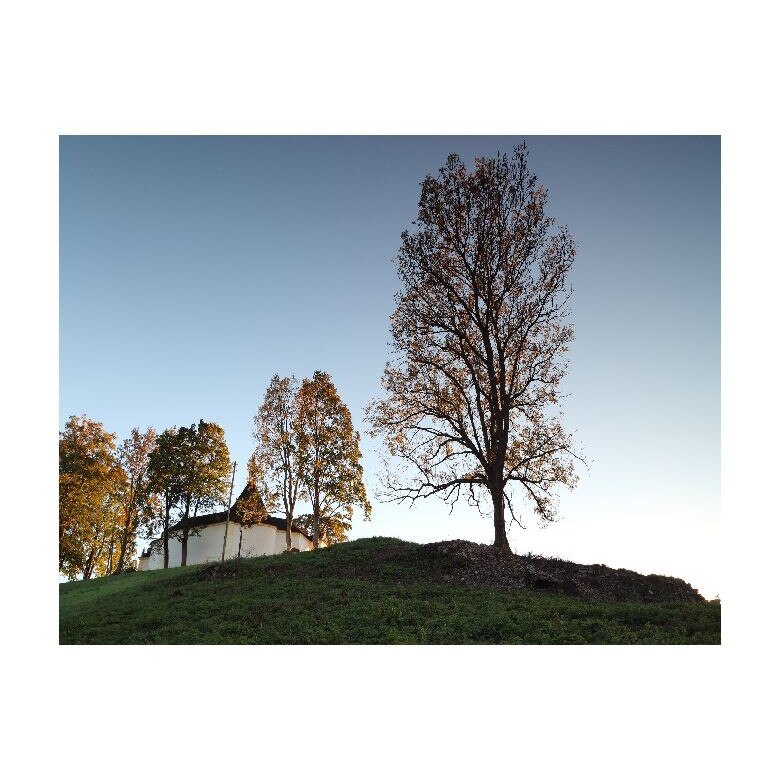 Tablou Canvas Natura, Dimensiunea 100x70 nat379