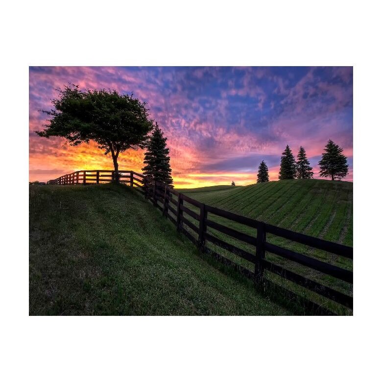 Tablou Canvas Natura, Dimensiunea 100x70 nat437