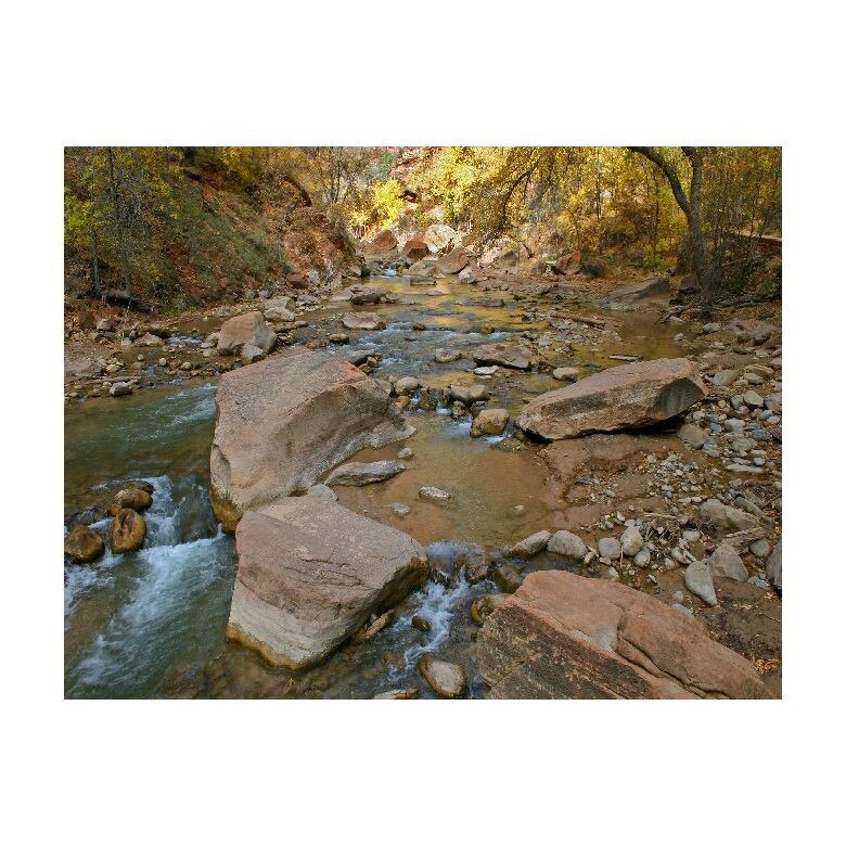 Tablou Canvas Natura, Dimensiunea 100x70 nat371