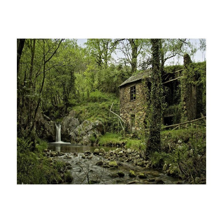 Tablou Canvas Natura, Dimensiunea 100x70 nat388