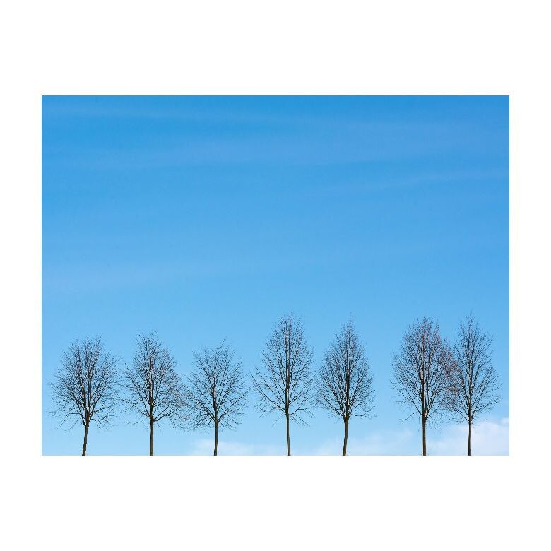 Tablou Canvas Natura, Dimensiunea 100x70 nat441