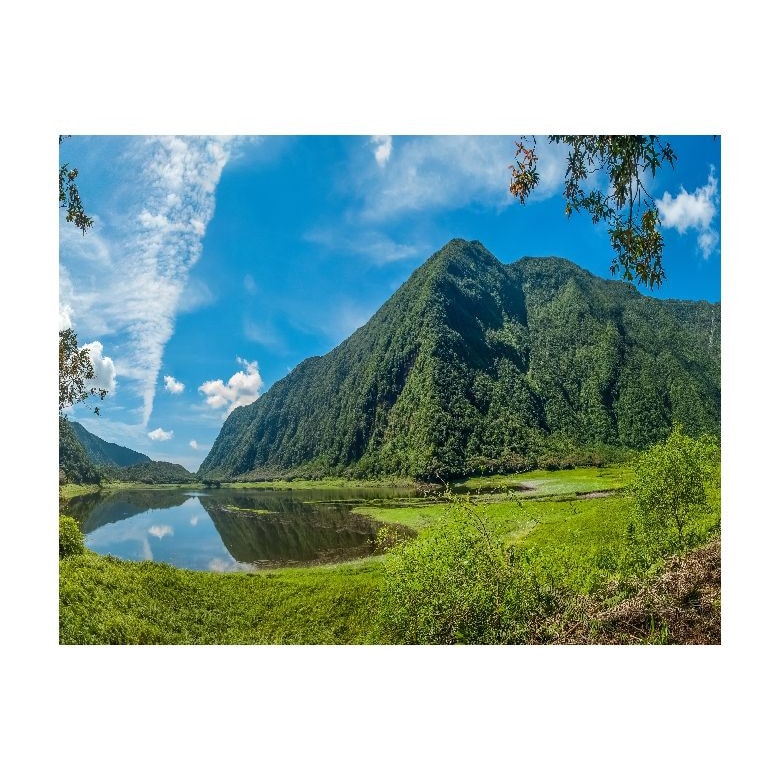 Tablou Canvas Natura, Dimensiunea 100x70 nat355