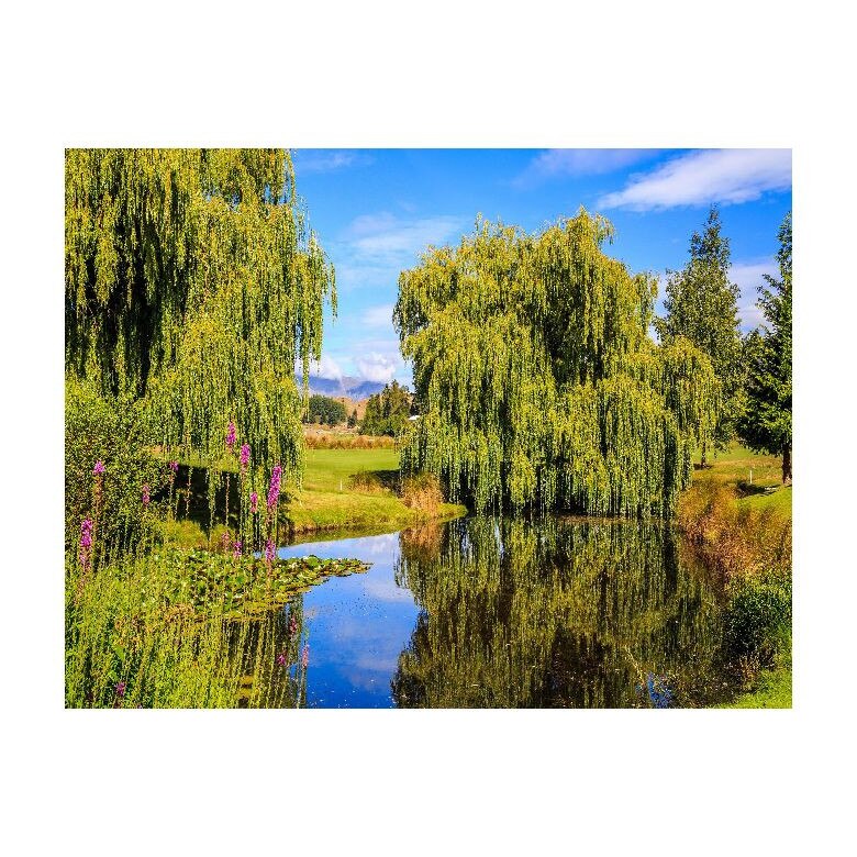 Tablou Canvas Natura, Dimensiunea 100x70 nat392