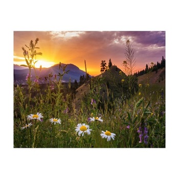 Tablou Canvas Natura, Dimensiunea 100x70 nat383 Tablou Canvas Natura, Dimensiunea 100x70 nat383