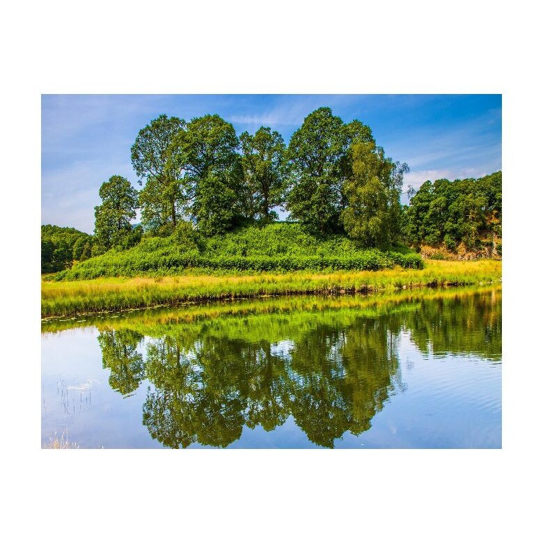Tablou Canvas Natura, Dimensiunea 100x70 nat312