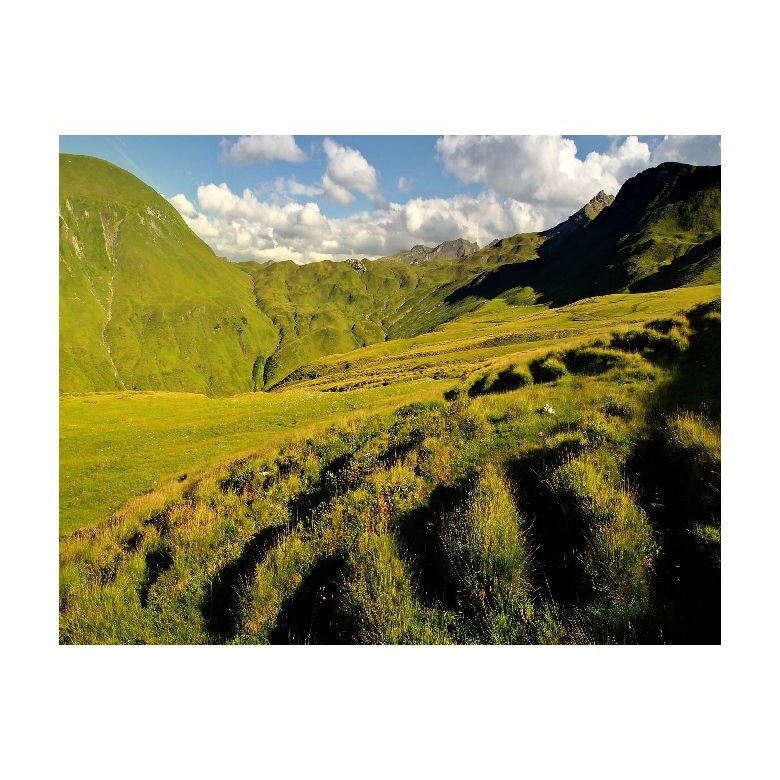 Tablou Canvas Natura, Dimensiunea 100x70 nat439